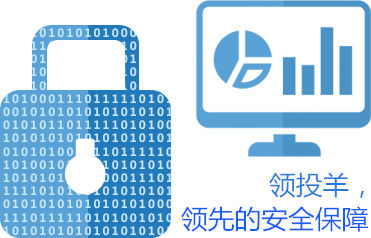 領(lǐng)投羊網(wǎng)站開發(fā)費(fèi)用過百萬 聚焦網(wǎng)絡(luò)與信息安全軟件開發(fā)